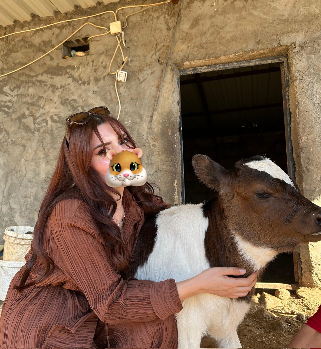 sihorrîkaaa tweet media