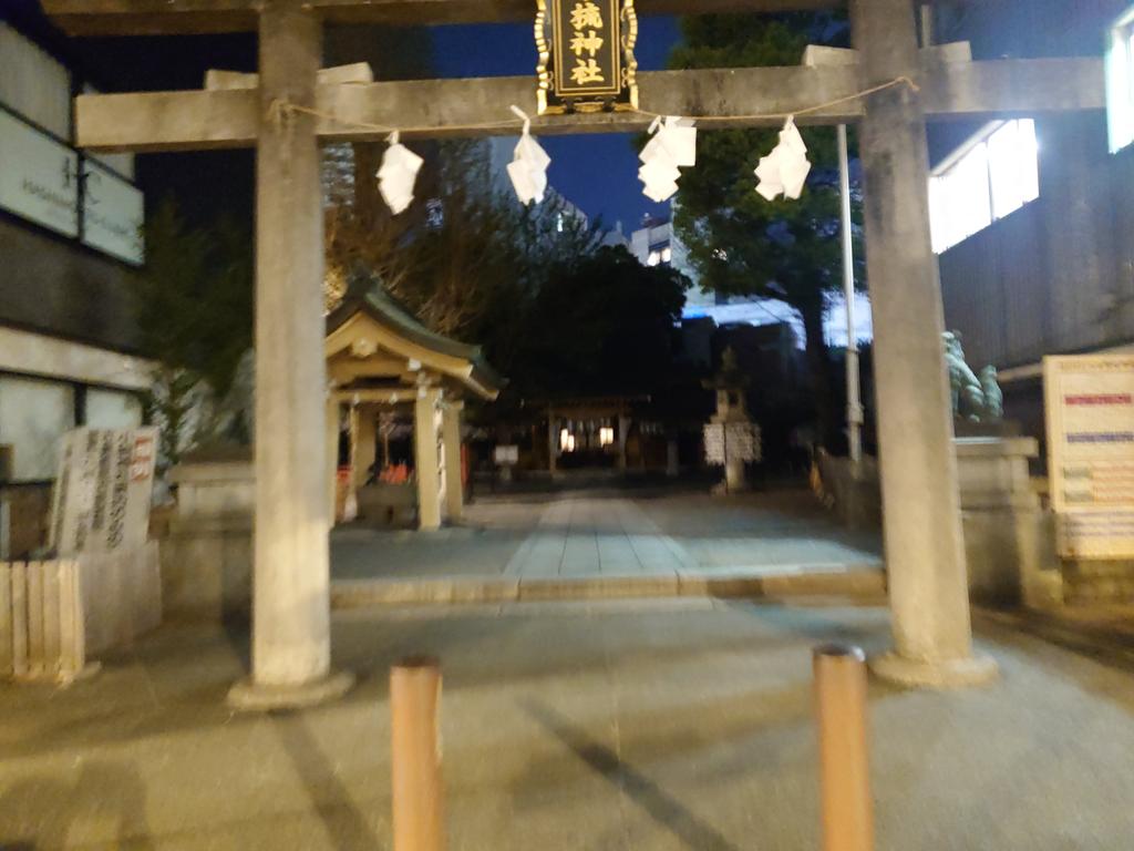 いつもここらへんにいるよ(鳥飼わさび) tweet media