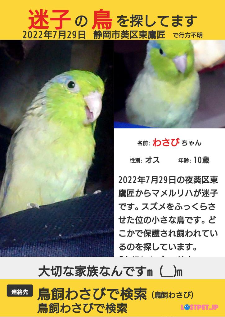 いつもここらへんにいるよ(鳥飼わさび) tweet media