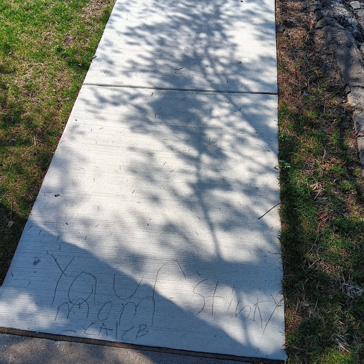 daisy st patience tweet media