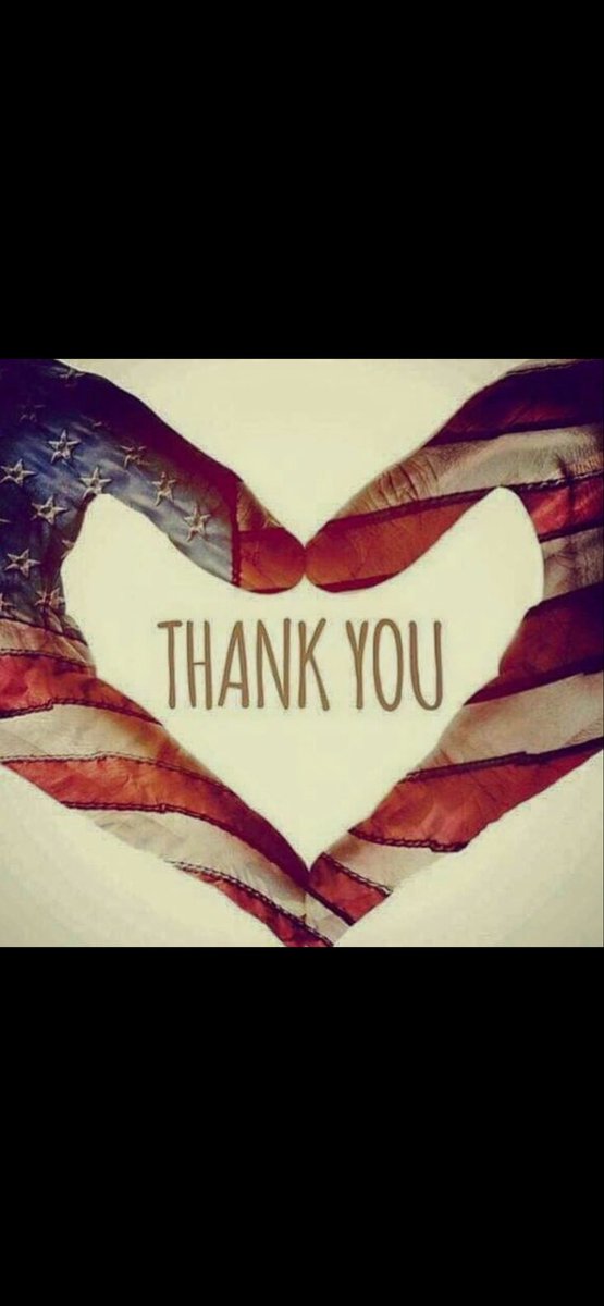 CATNIP 1 tweet media