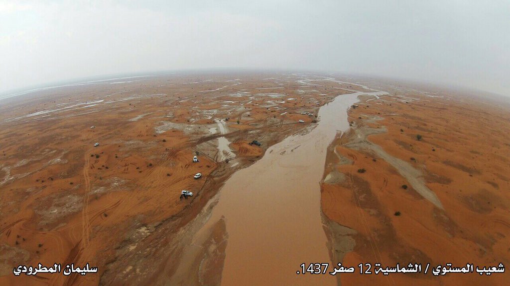 سليمان السهلي tweet media