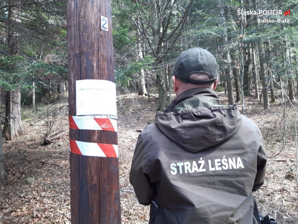 🌐 ᴛʜᴇᴘᴏʟᴀɴᴅɴᴇᴡs 🌐 tweet media