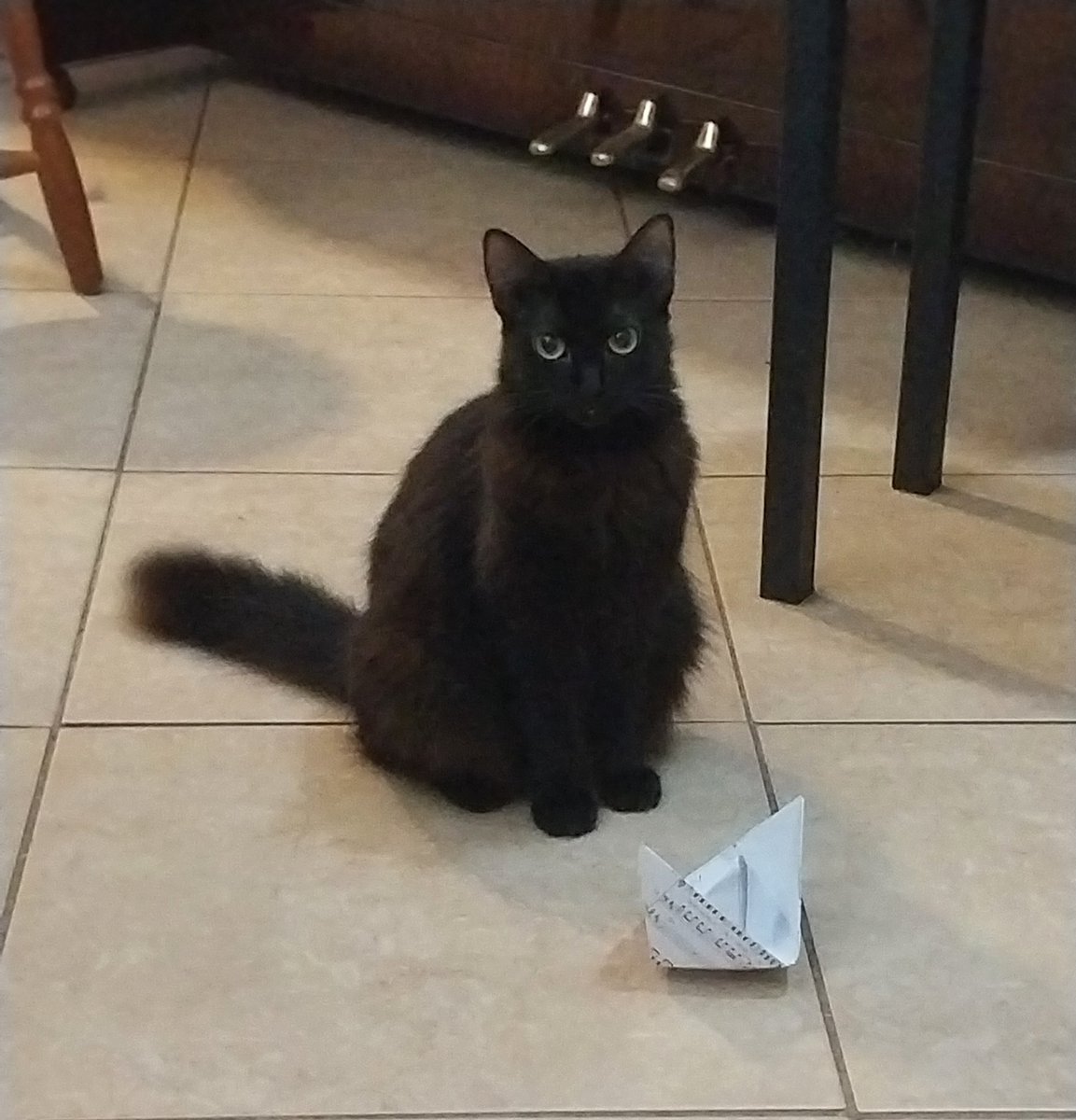 Nananna ✿ 💀🌙✨ tweet media