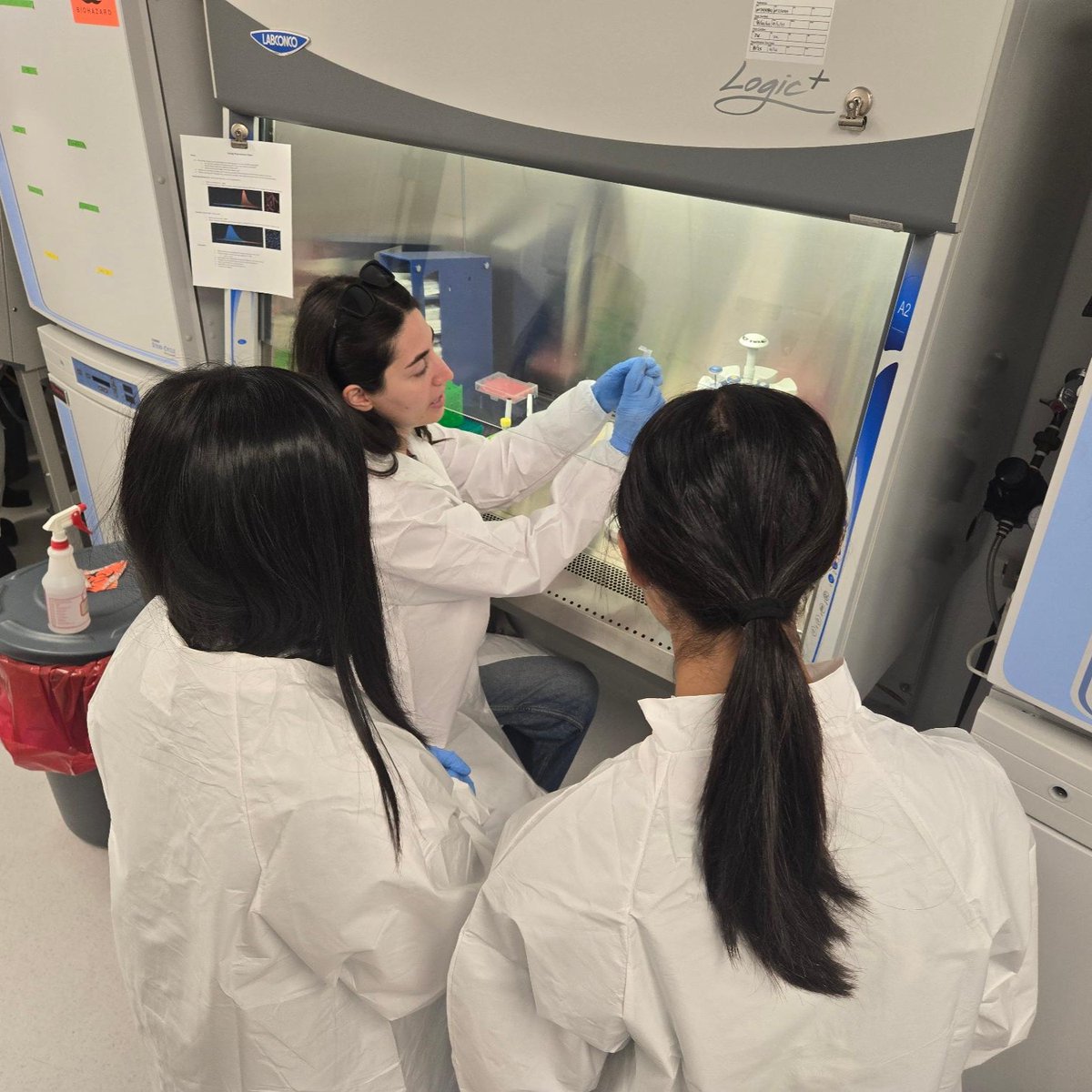 USC Stem Cell tweet media