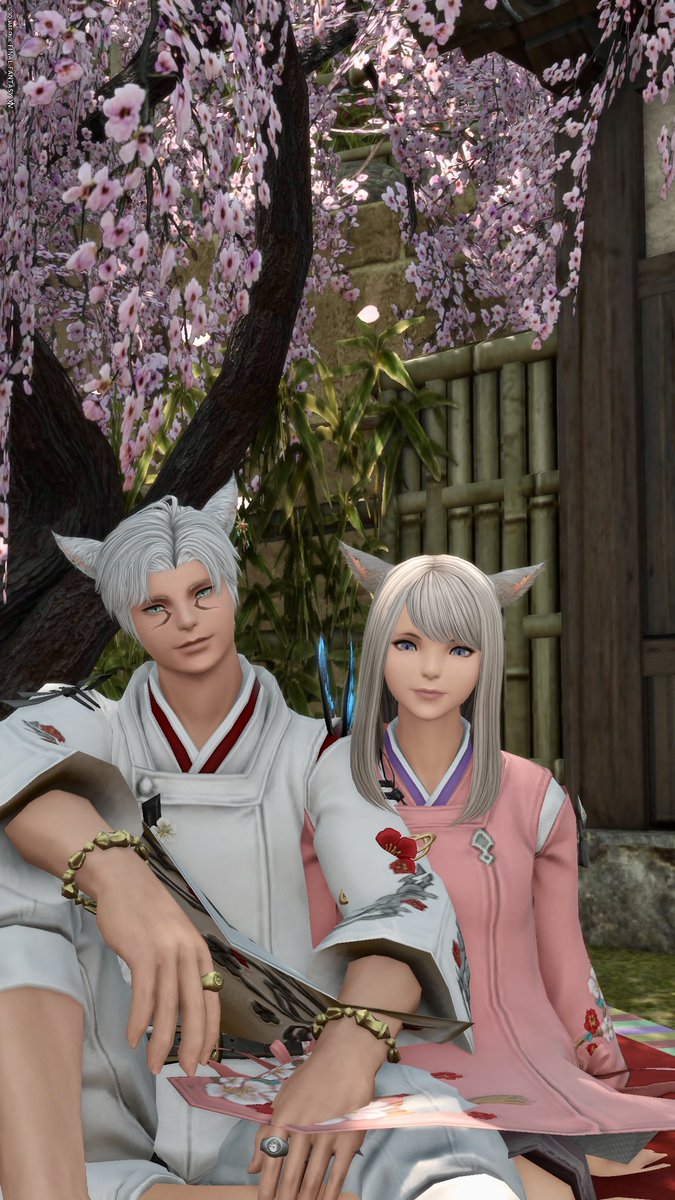 まめまめ tweet media