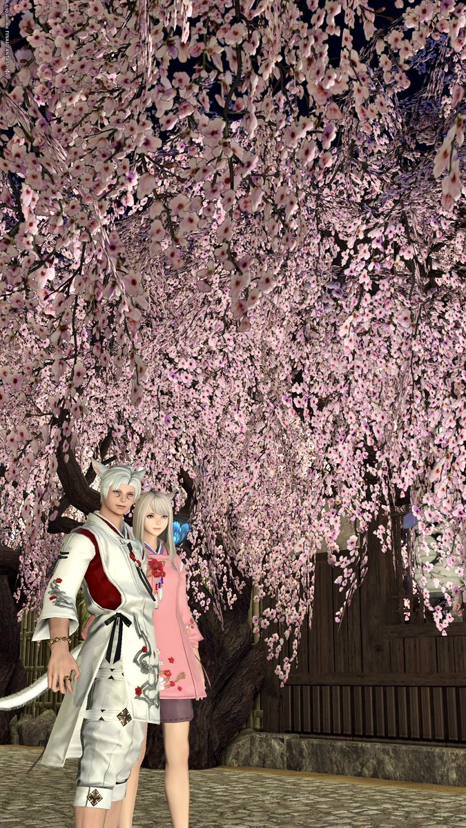 まめまめ tweet media