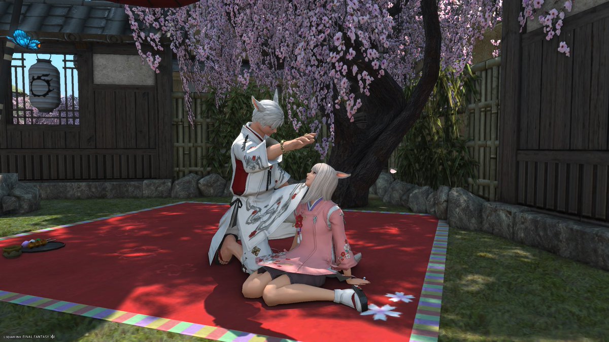 まめまめ tweet media