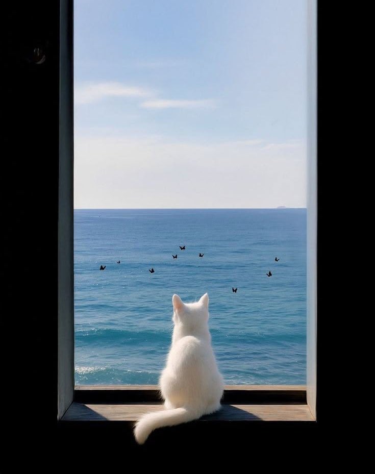 بحر 🌊 (@butterflless) on Twitter photo 