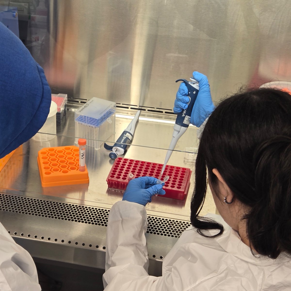 USC Stem Cell tweet media