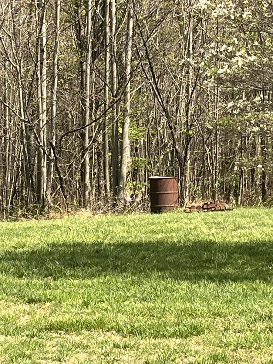 AngieCooke tweet media