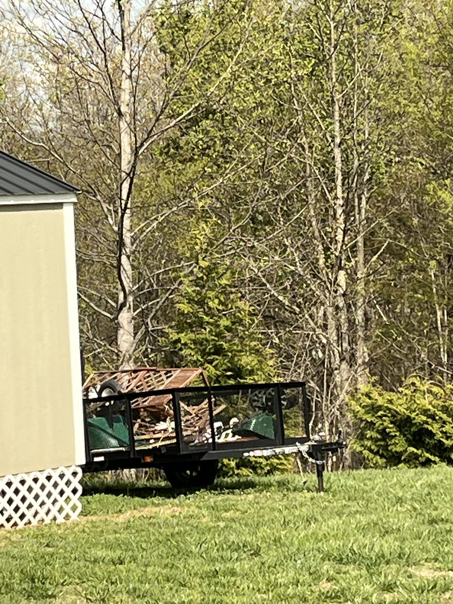 AngieCooke tweet media