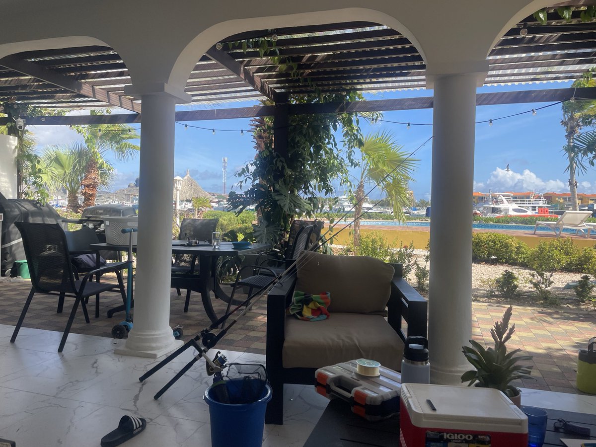 Rob_deDammer's tweet photo. @VolatilityQ Happy Easter Fam 🫶☀️🌴 https://t.co/XP1Pui0BTH