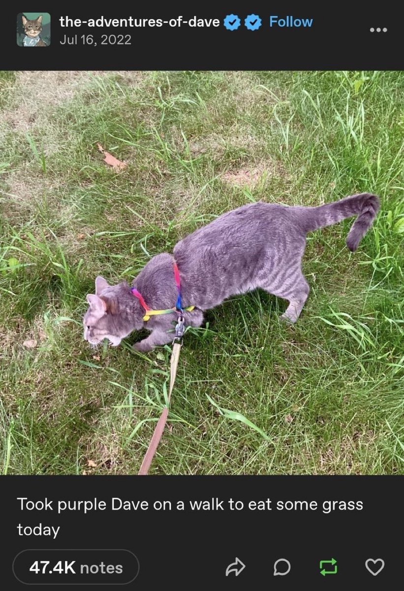 The Greatest Burger King Facts 🍉🐷👑 tweet media