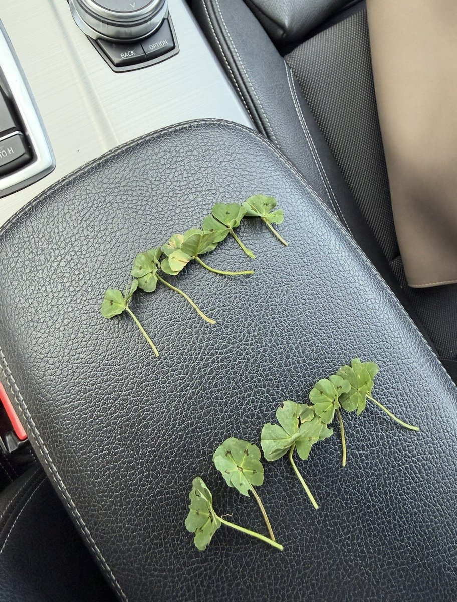 Voljenica🍀💎⭐️ tweet media