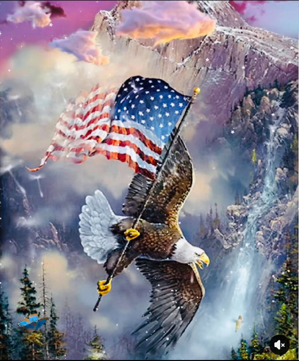 CATNIP 1 tweet media