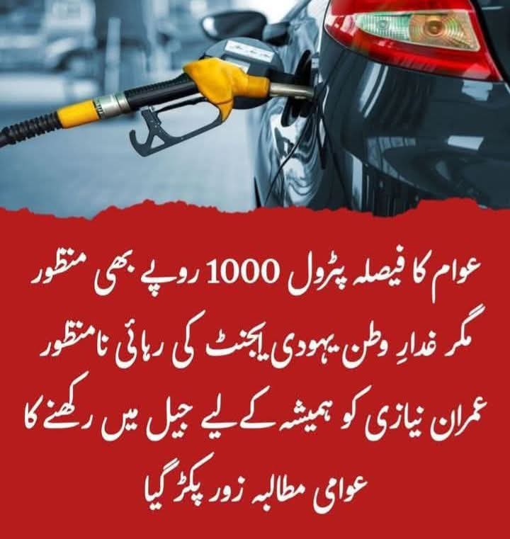 عبیرہ فاطمہ tweet media