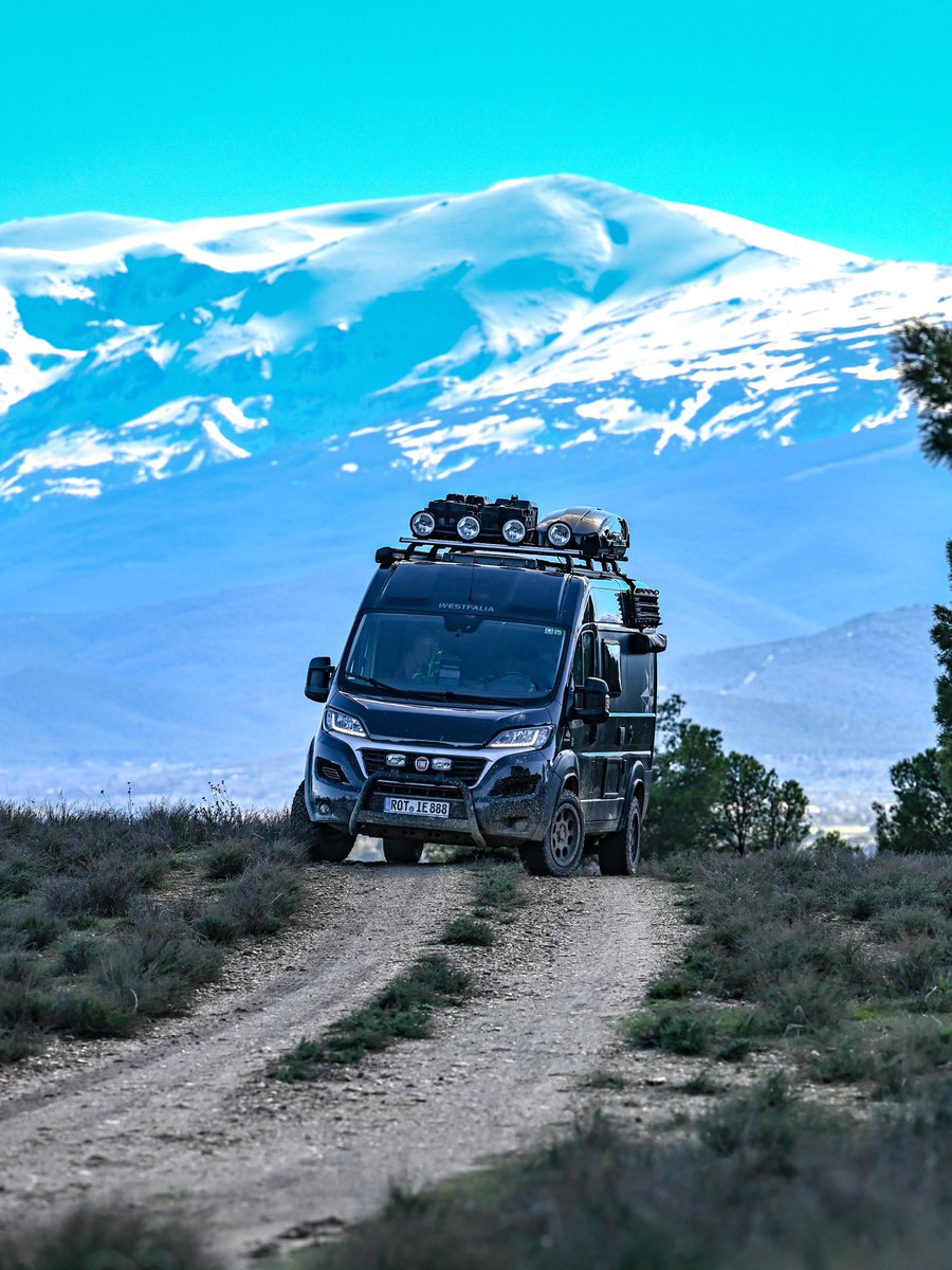 Offrotie tweet media