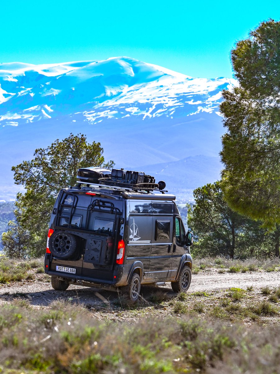 Offrotie tweet media