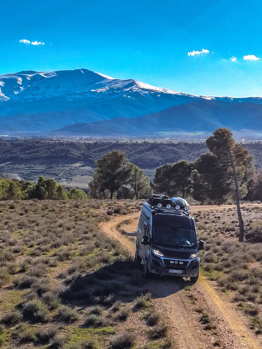 Offrotie tweet media