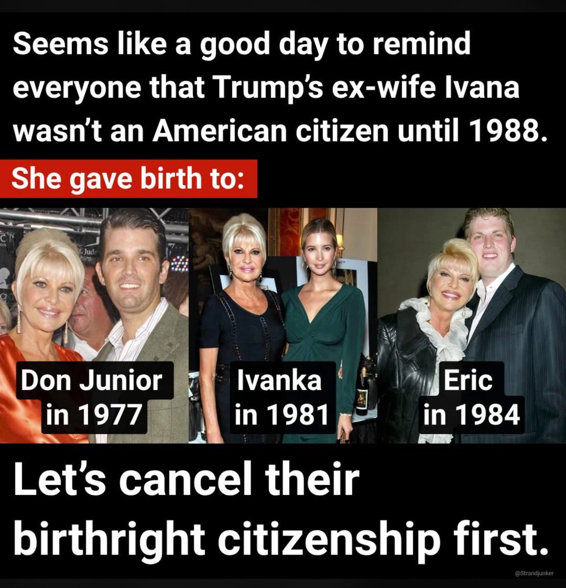 tigerstorm 🇺🇸 tweet media