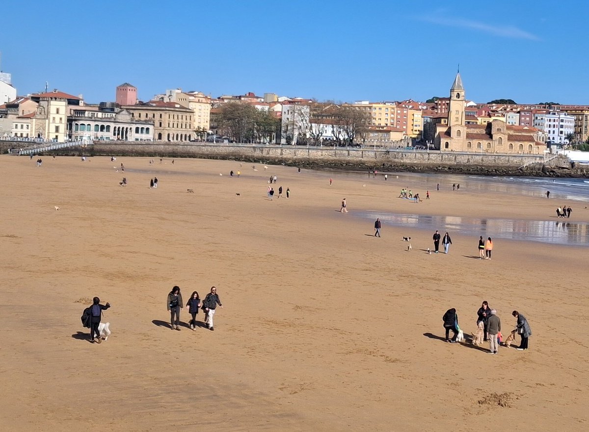 Gerardo Martínez 🇺🇦🇪🇺 tweet media