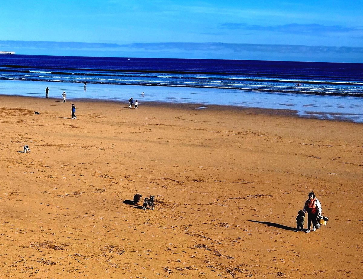 Gerardo Martínez 🇺🇦🇪🇺 tweet media