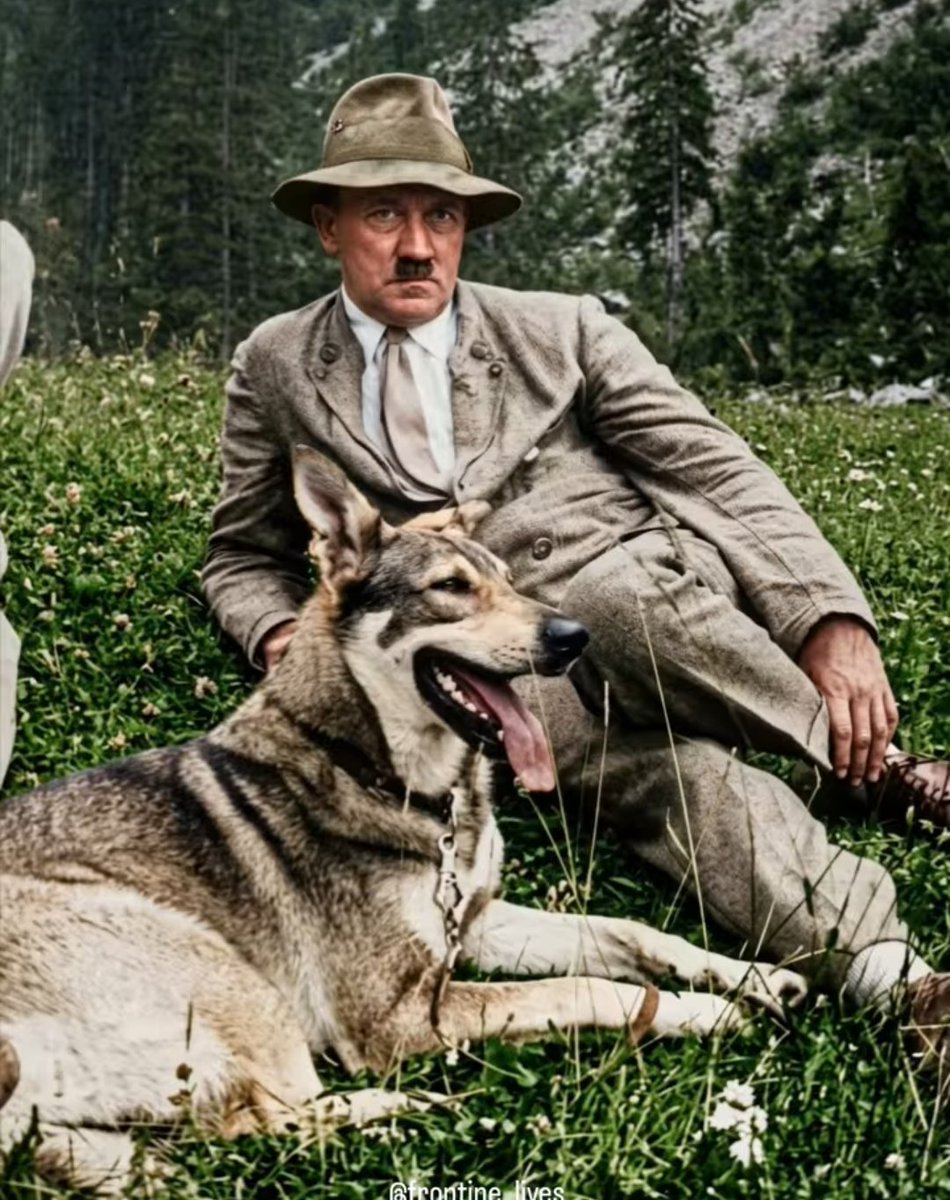 КОБЗАРЬ 🔱 tweet media