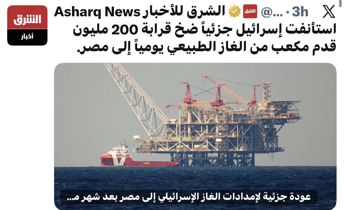 egyptian man tweet media