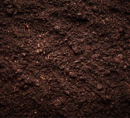 Gusholder Haber Bülteni tweet media