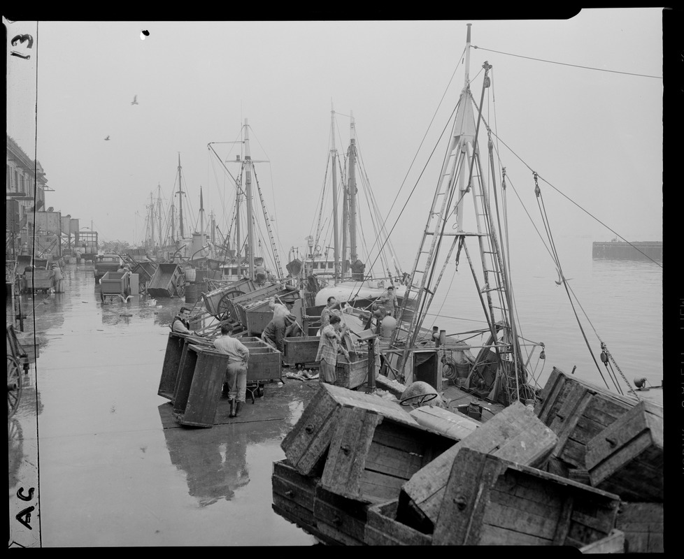 Jarjoh 🟥🚰🌇 tweet media