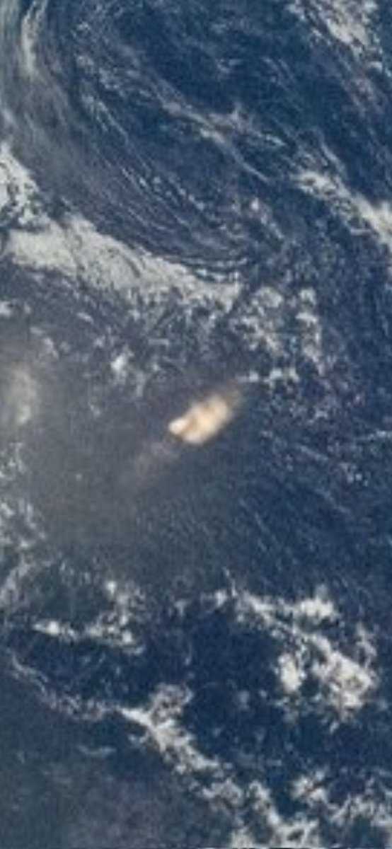 DBZonBluRay🐝🖖 tweet media