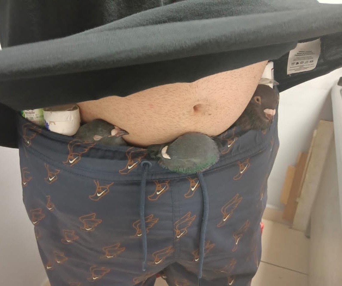 vicejefeagr's tweet photo. #AduanadeCuba descubre intento de extraer ilegalmente del país 7 aves vivas ocultas en tubos de desodorantes adheridos al cuerpo de un pasajero destino a los EEUU por el aeropuerto de La Habana. La protección del patrimonio natural es una prioridad en la seguridad de la frontera. https://t.co/58DRosEjgf