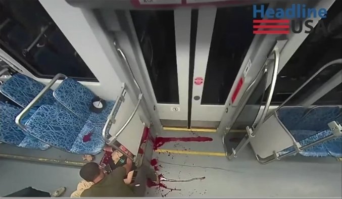 StayBelligerent tweet media