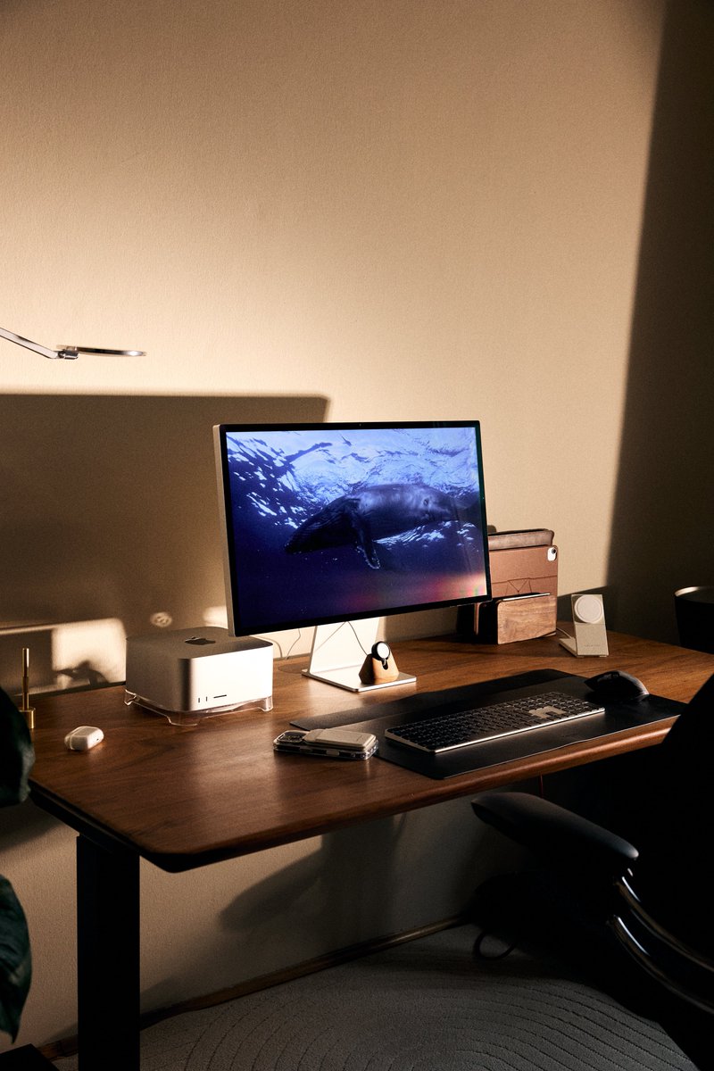 mamoastudio's tweet image. The "perfect setup" doesn't exist.

At some point you just have to sit down and do the work. The desk is just there to support you. #wfh