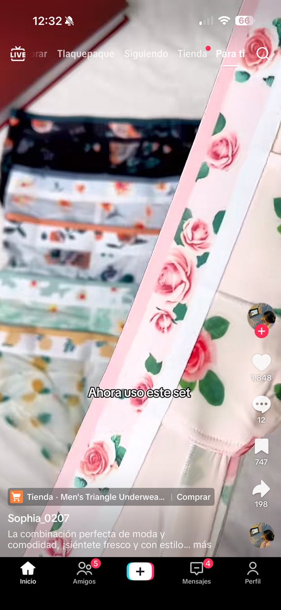 Cachorro Mexico🐾🌈 tweet media