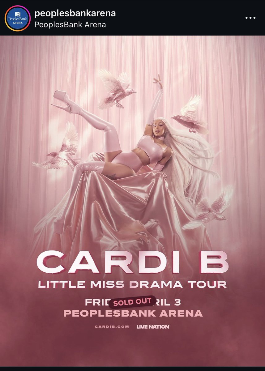 Beyhive_Bardigang tweet media