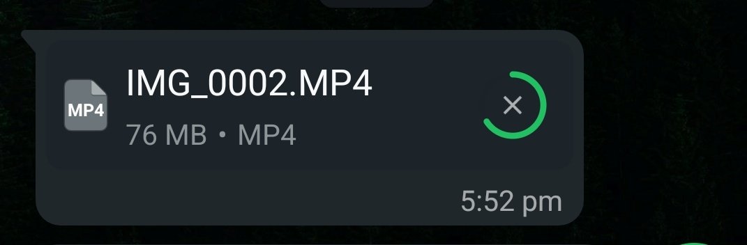 Ms Temsy tweet media