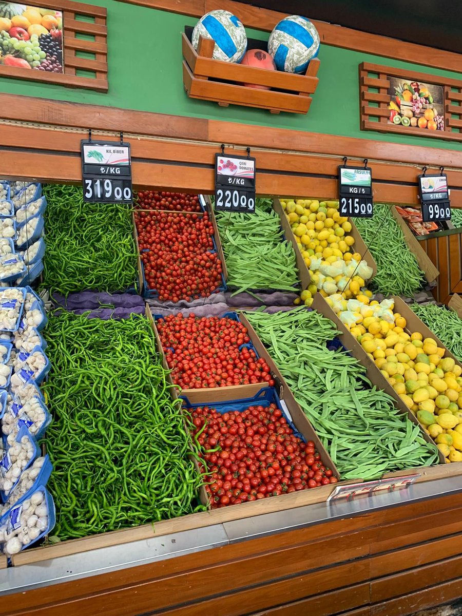 Selin Gülseven 🐦 tweet media