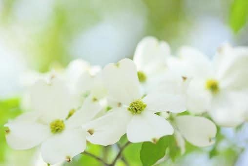 グレースタイム tweet media