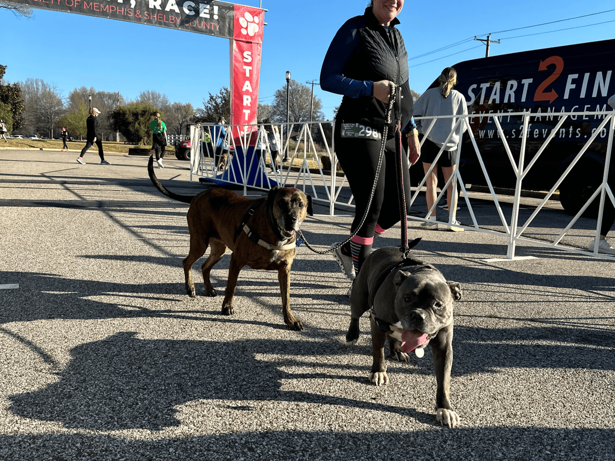 Memphis Humane Society tweet media