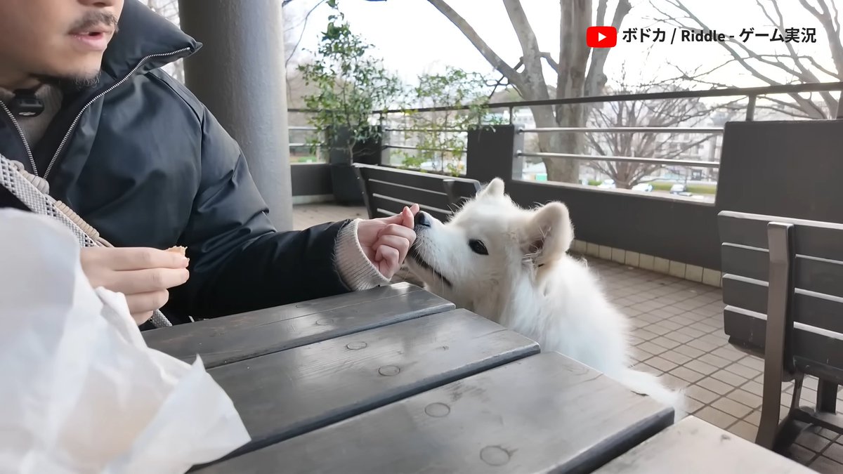 YouTube Japan tweet media