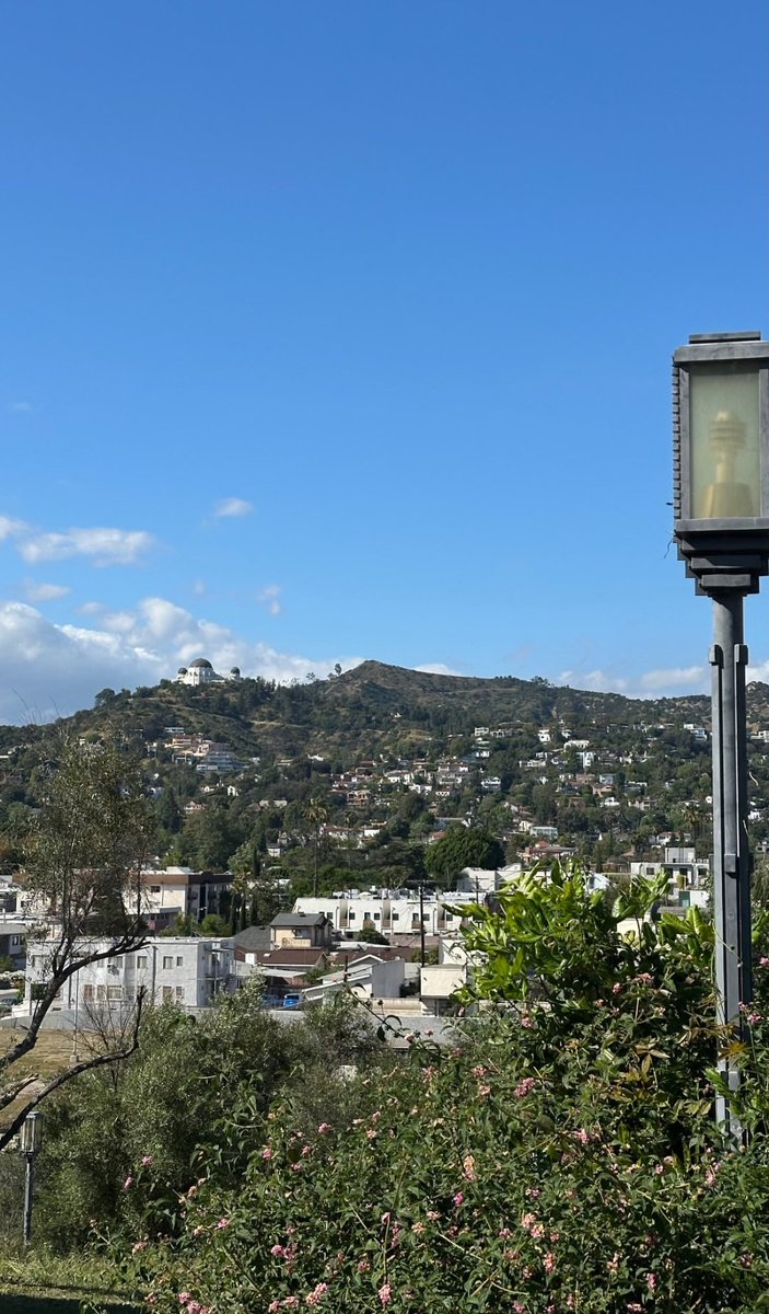 ils ⋆˚࿔ tweet media