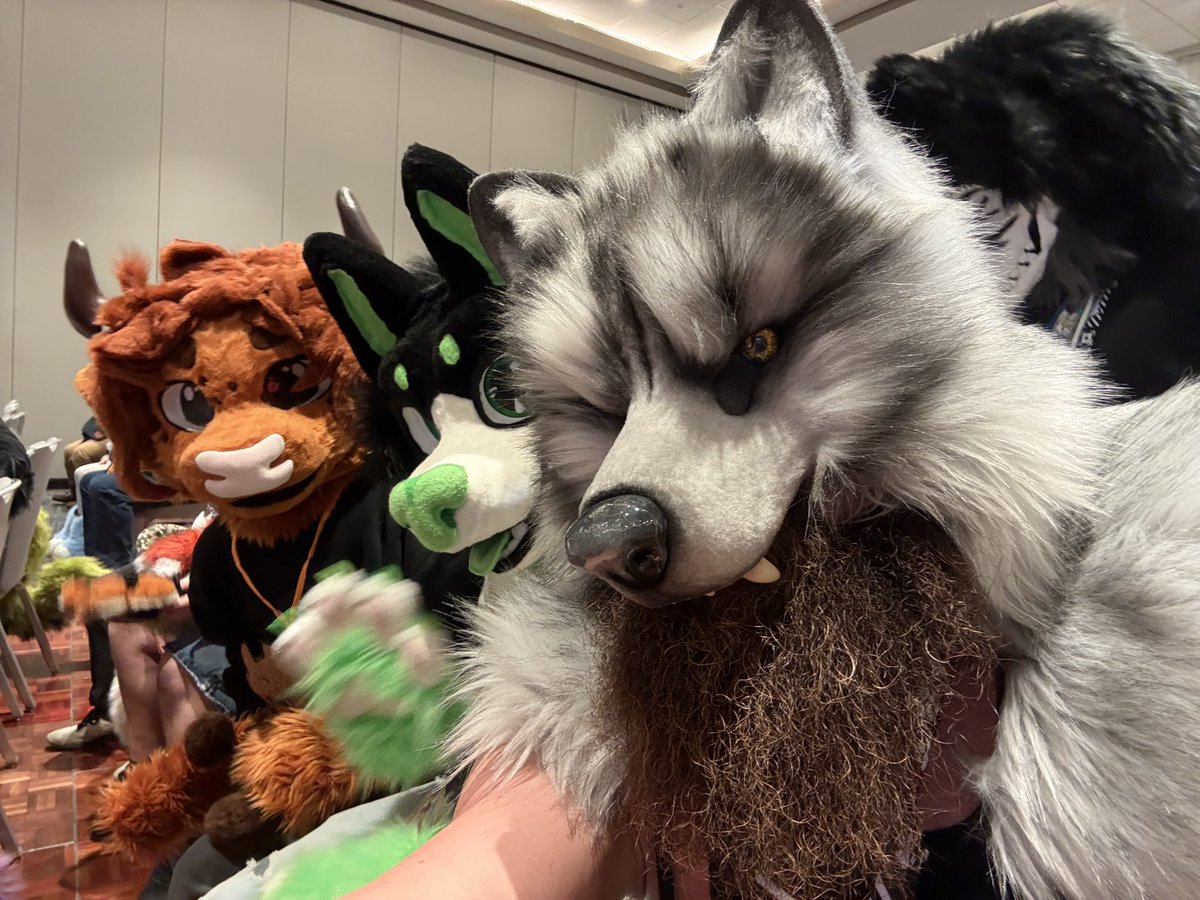 Wolfie 🔜Furlingame 🔜MegaPlex🔜PawCon🔜BLFC tweet media