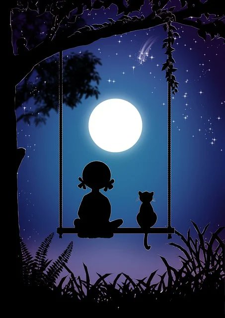 Shelly Cruz tweet media