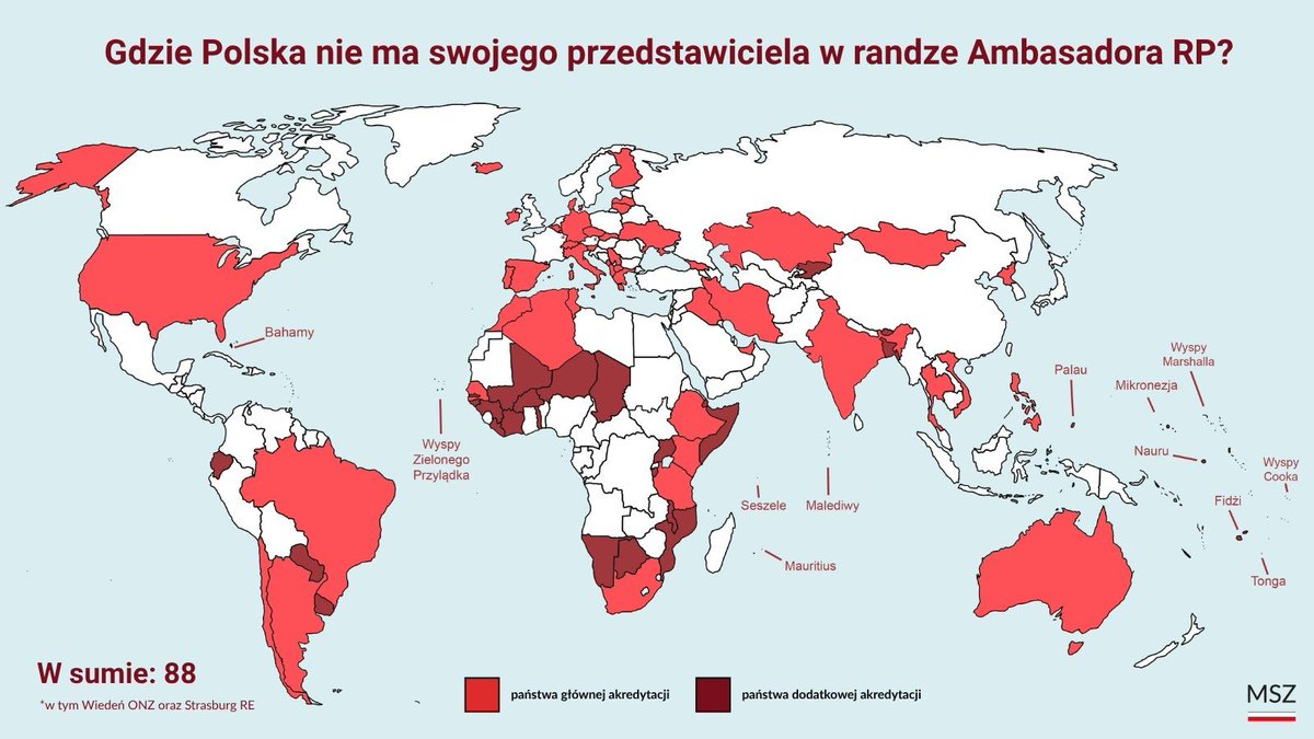 Adam Mazguła tweet media