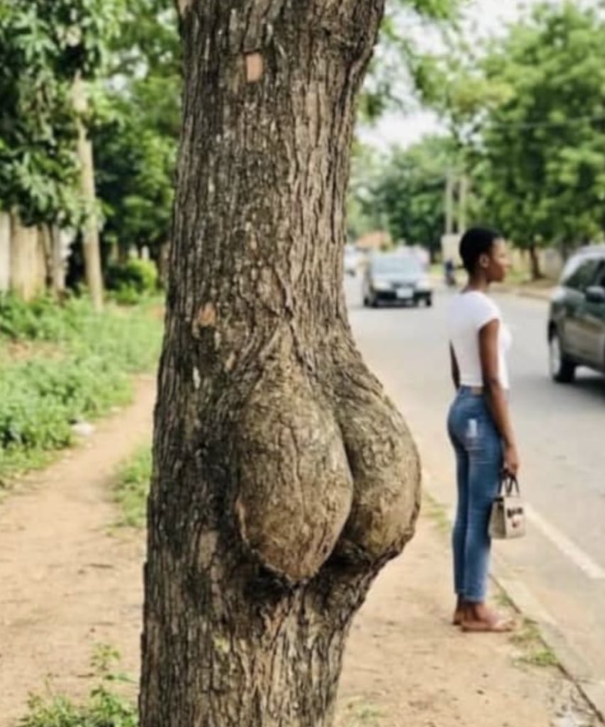 Dripper of jos tweet media