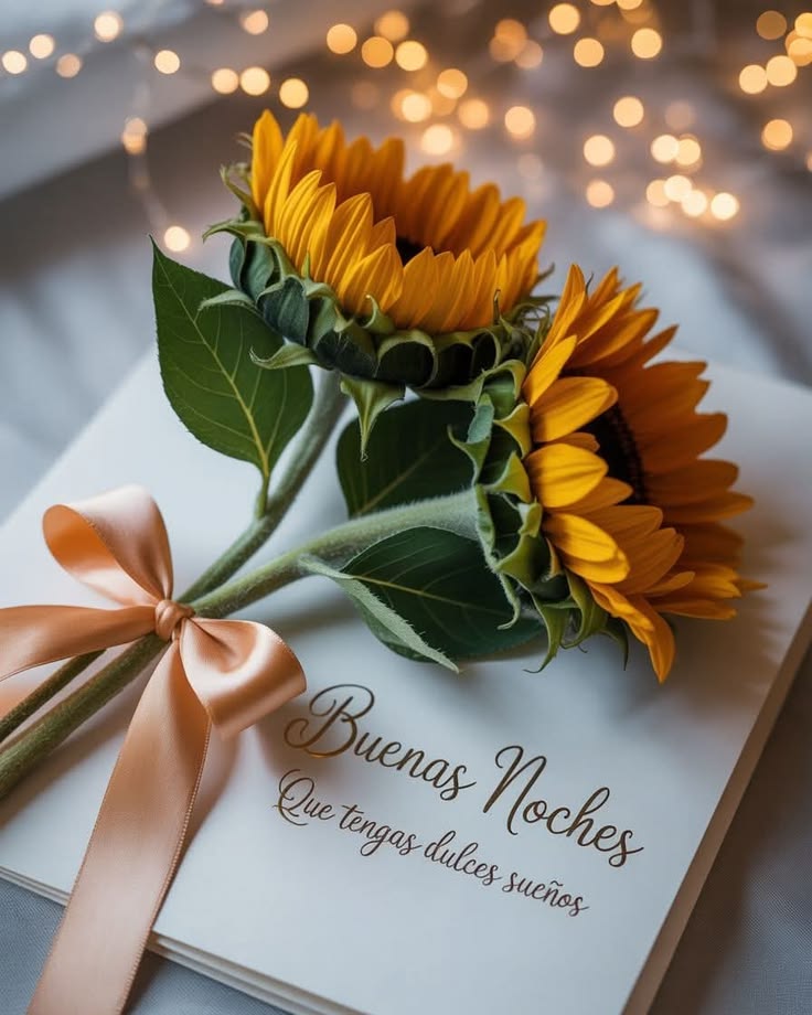 ৎ୭ Llegó tu 𝐈𝐧𝐭𝐫𝐚𝐯𝐞𝐧𝐨𝐬𝐚♕ tweet media