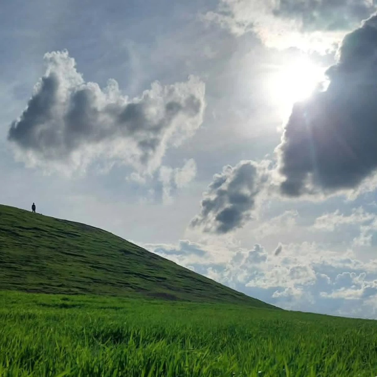 خالد tweet media