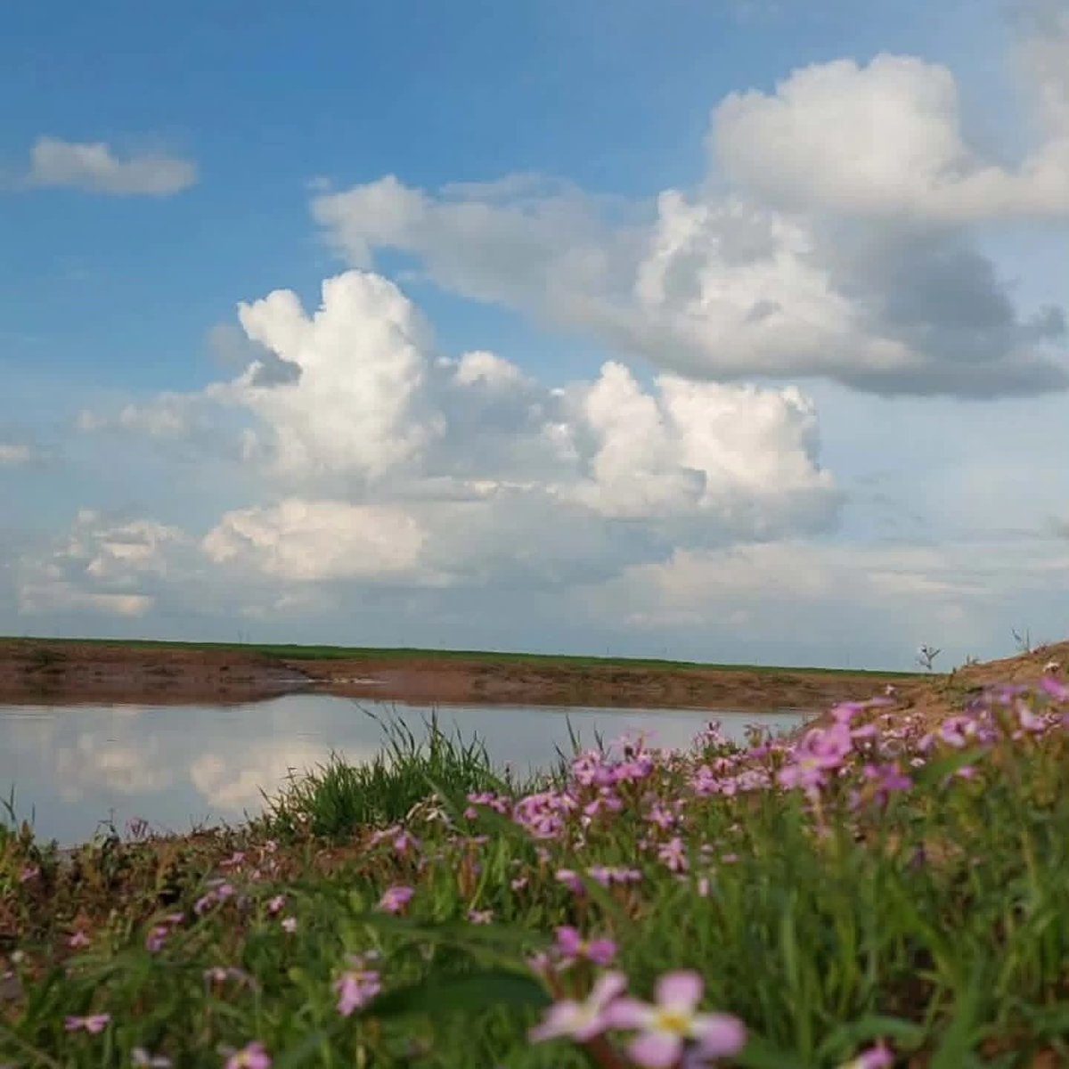 خالد tweet media